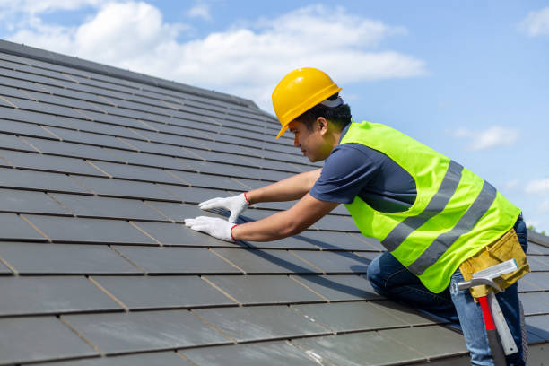 Best Roof Gutter Cleaning  in Madison, WI