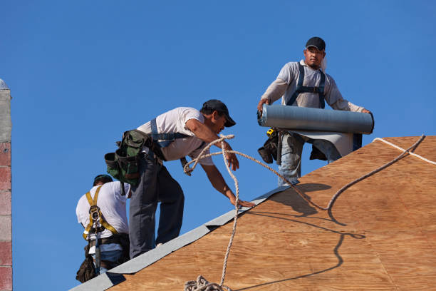 Best Affordable Roofing Company  in Madison, WI